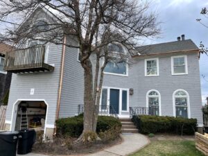 WhatsApp Image 2025-04-12 at 11.06.51 (1)